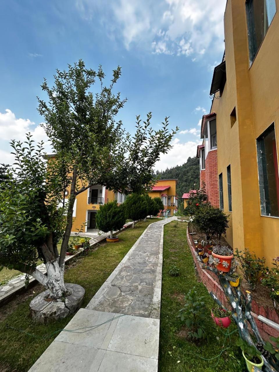 Mist N Meadows Resort Rājgarh Exterior photo